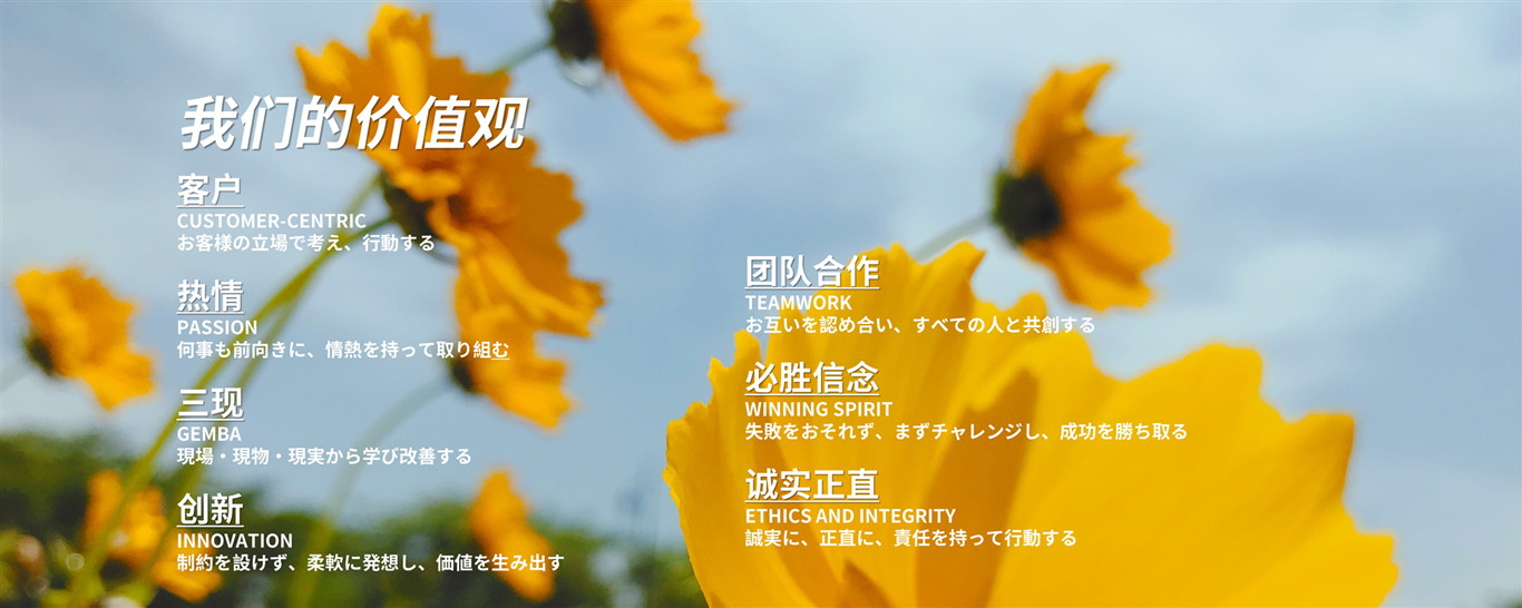 右上圖